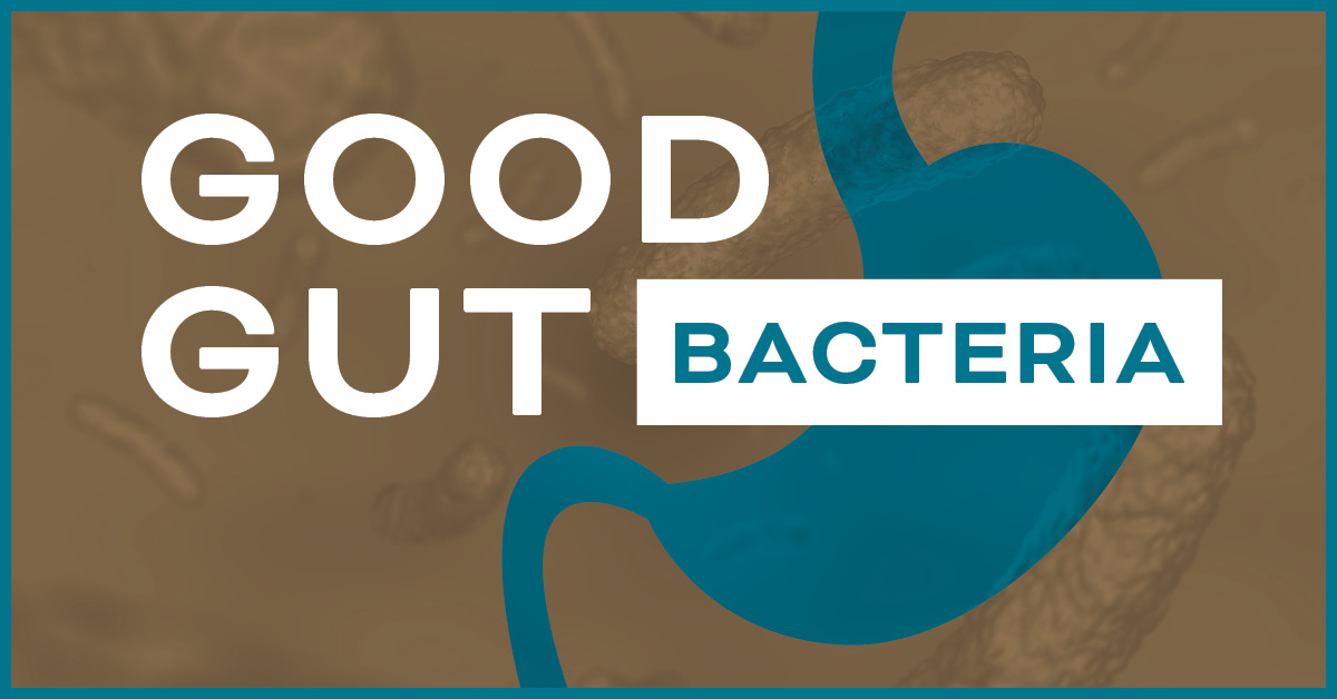 Top 5 Bacteria for Gut Health