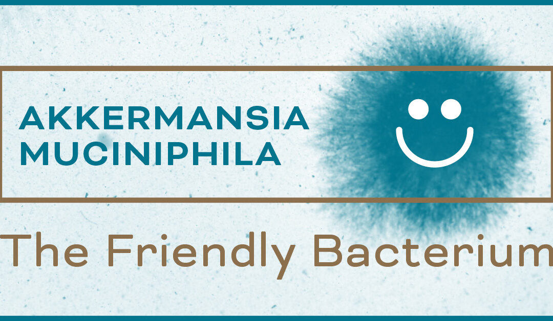 Akkermansia Muciniphila: The Friendly Bacterium