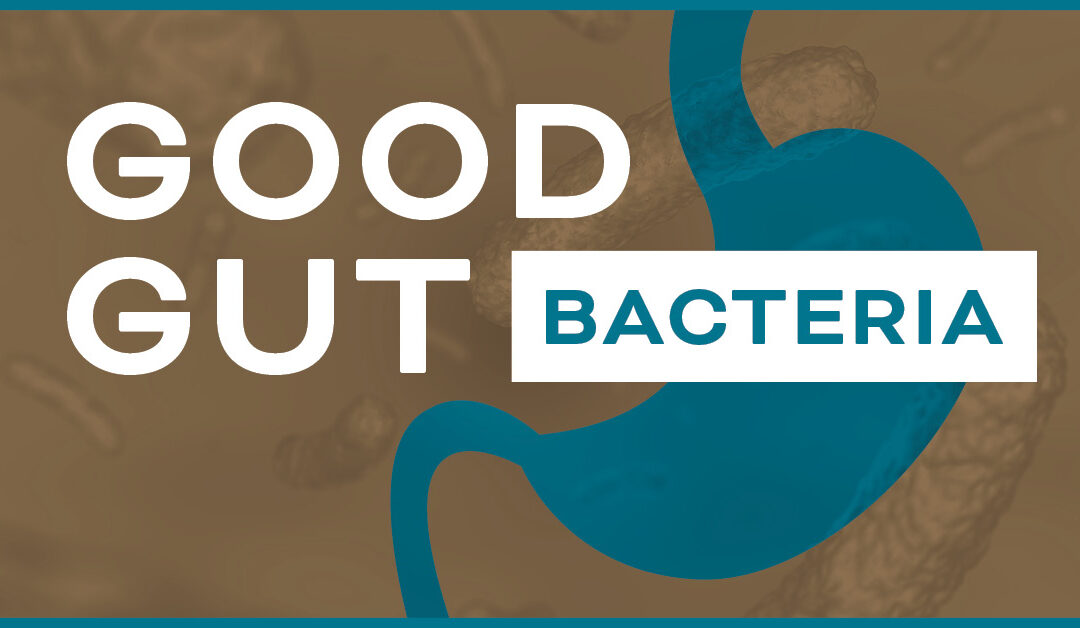 Top 5 Bacteria for Gut Health